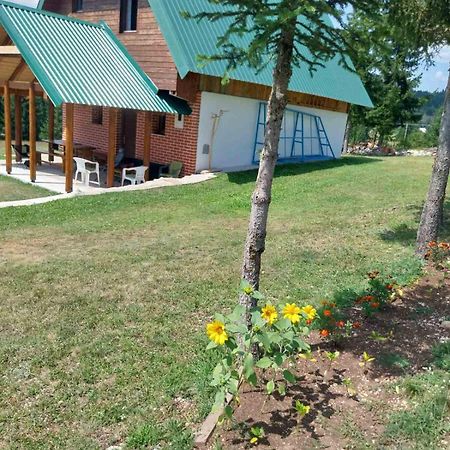 House In Forest Žabljak Exteriér fotografie