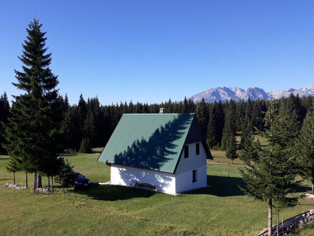 House In Forest Žabljak Exteriér fotografie