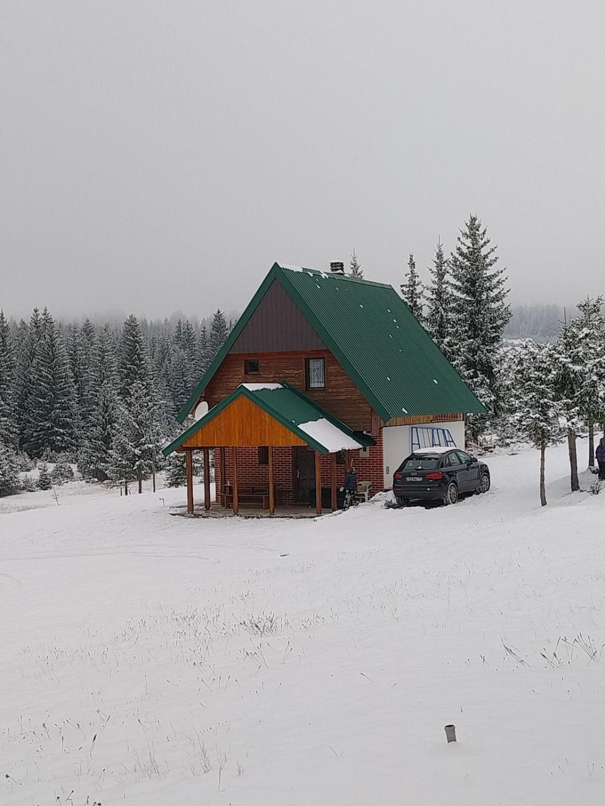House In Forest Žabljak Exteriér fotografie