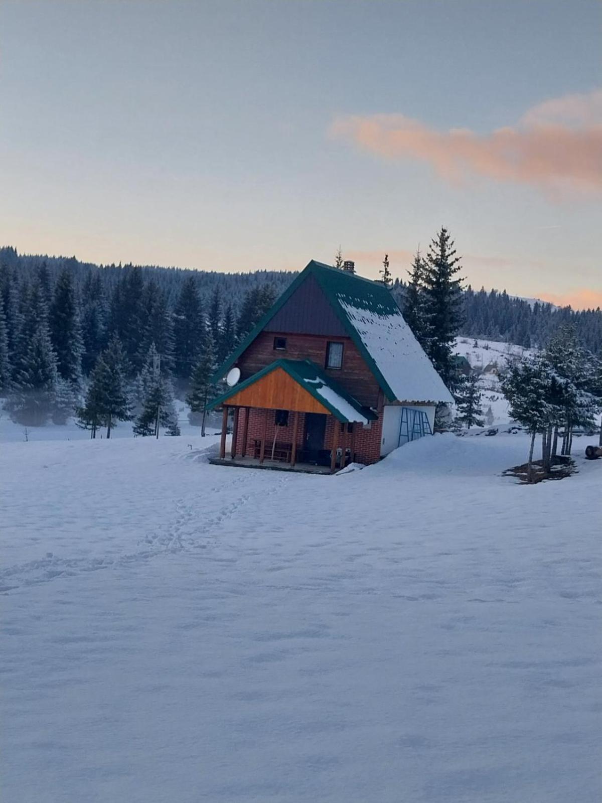 House In Forest Žabljak Exteriér fotografie