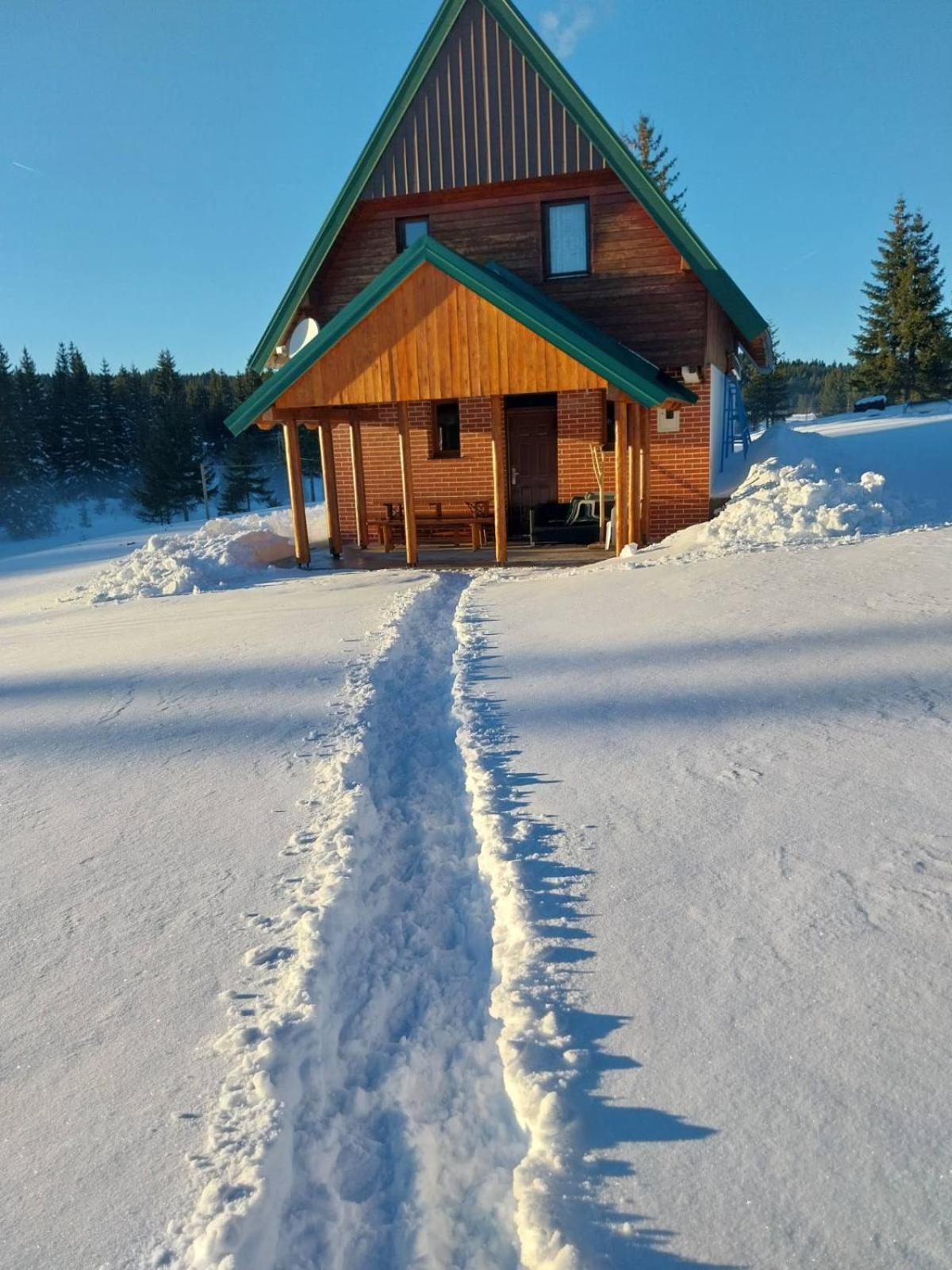House In Forest Žabljak Exteriér fotografie