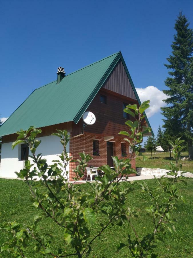 House In Forest Žabljak Exteriér fotografie