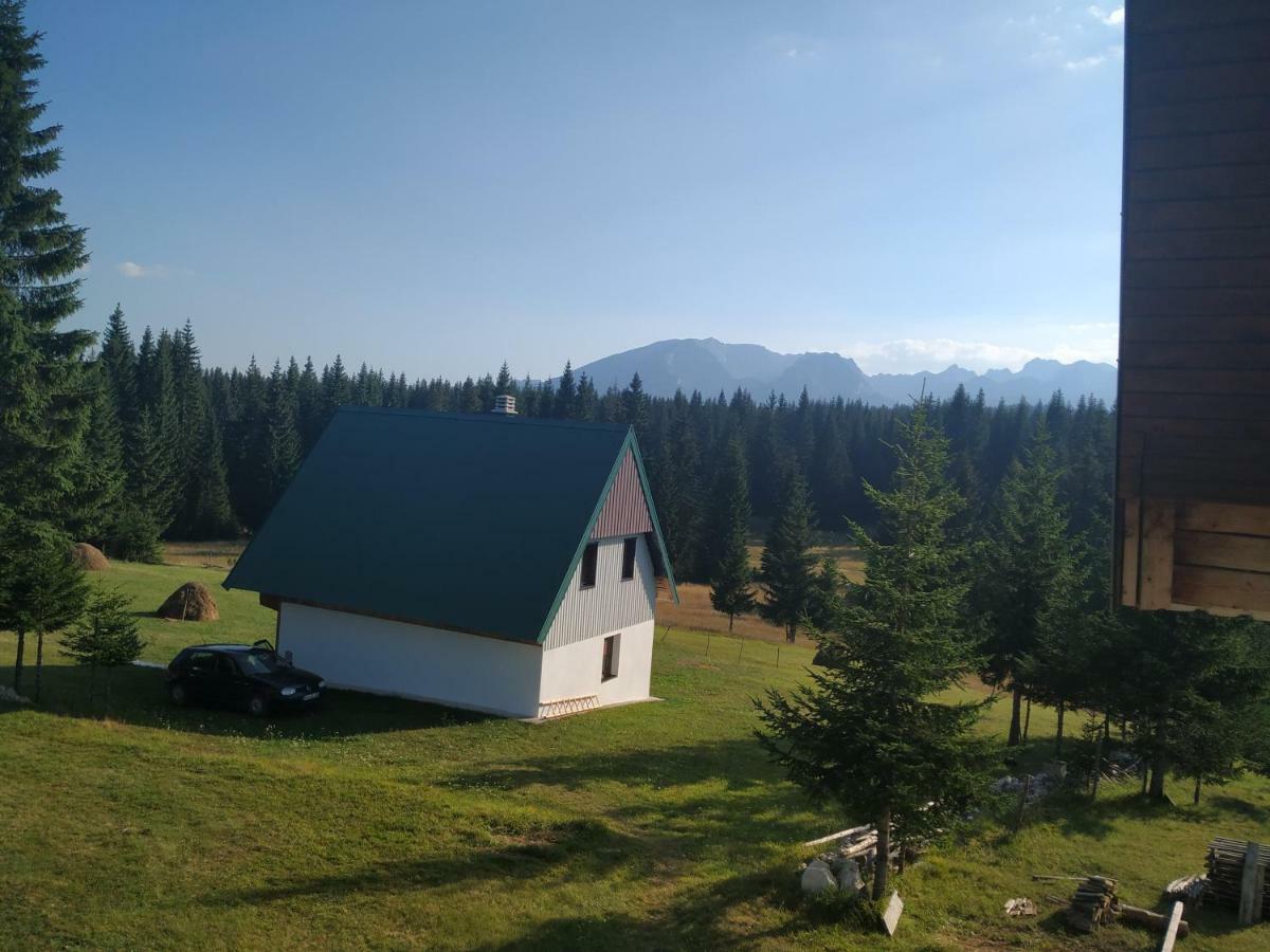 House In Forest Žabljak Exteriér fotografie