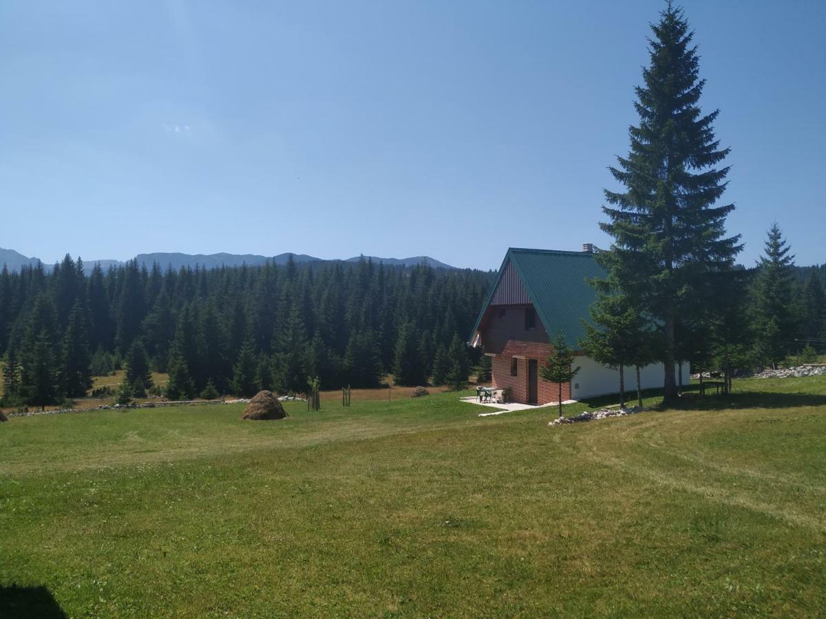 House In Forest Žabljak Exteriér fotografie